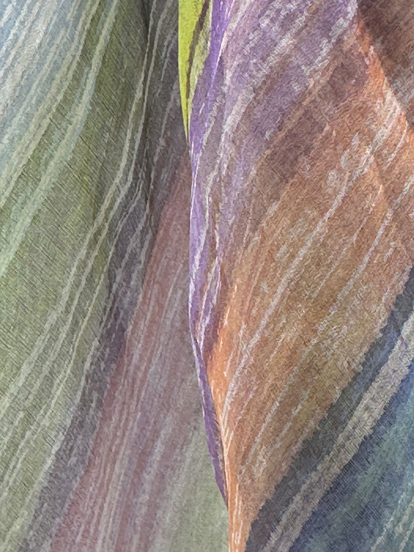Silk Organdy Stole - Hand Brushstroke Multicolor Stripes #11