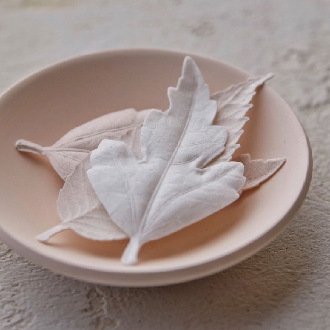 HAKO Paper Incense - Wood Box Set with a plate